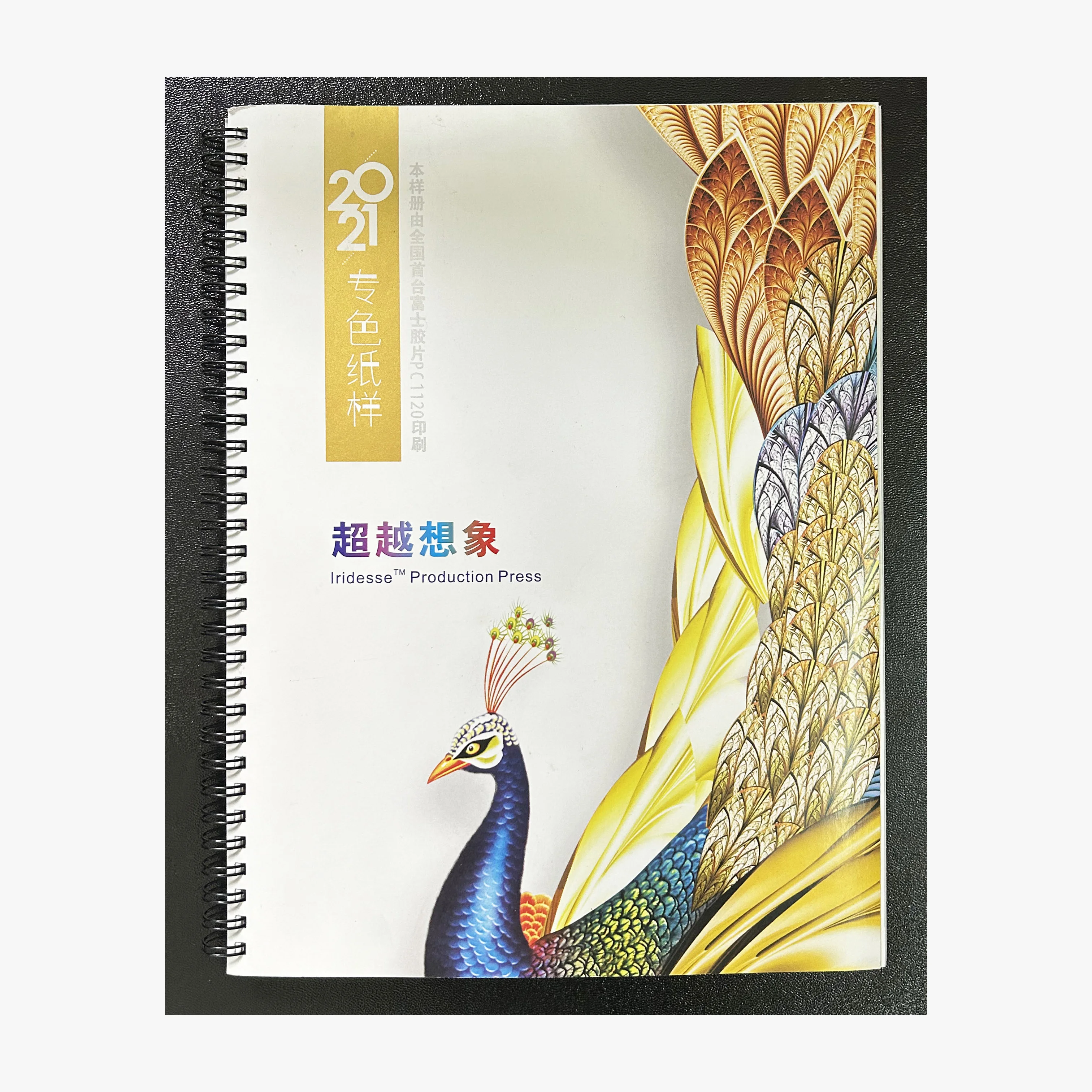 Customized picture book with double line iron ring binding, 200g picture book notebook Page that can be laid flat