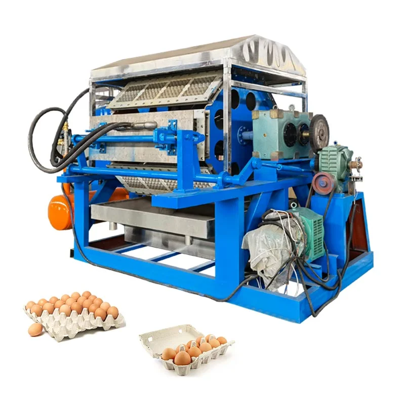 Popular sales egg carton making machine for small business ideas farm use for sale
