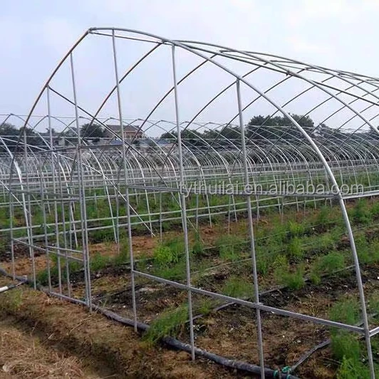 Commercial Plastic Film Tunnel Greenhouse Galvanized Agriculture Transparent Greenhouse Tunnel Garden Greenhouse