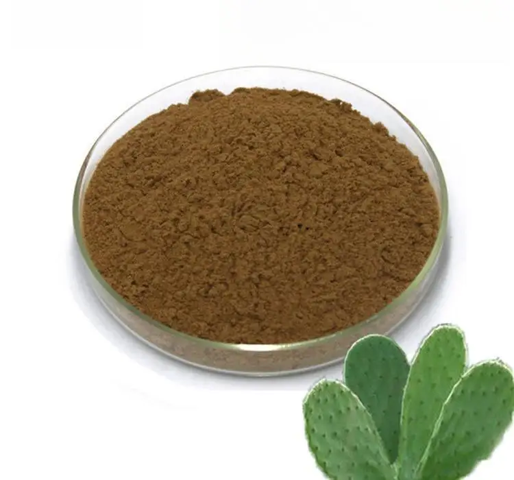 High-Quality bactericidal cactus Herbal extract dietary fiber Food supplements For Adults