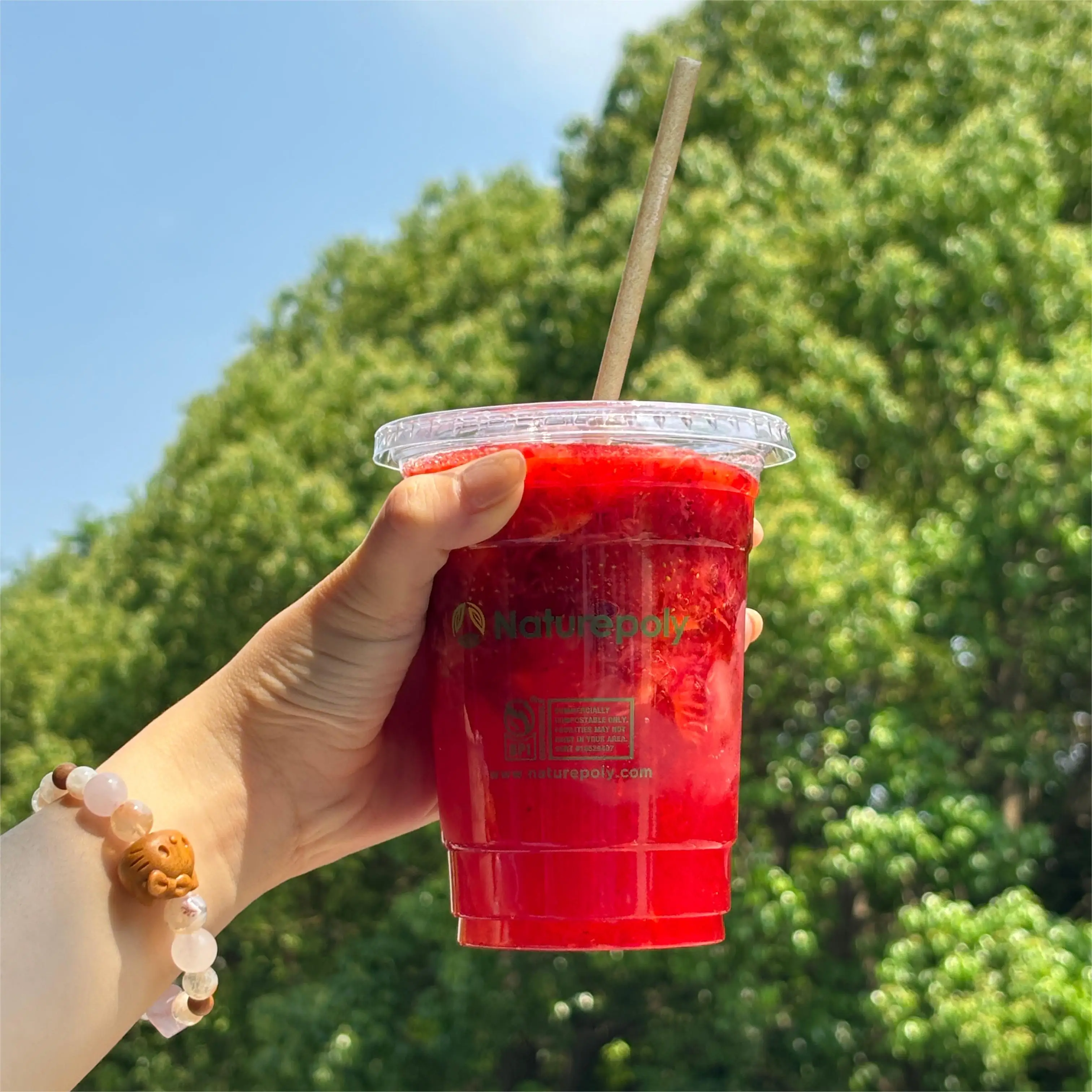 Naturepoly Custom Logo Printing 100% Compostable 10 12 14 20 24oz Disposable PLA Cold Drinking Cup