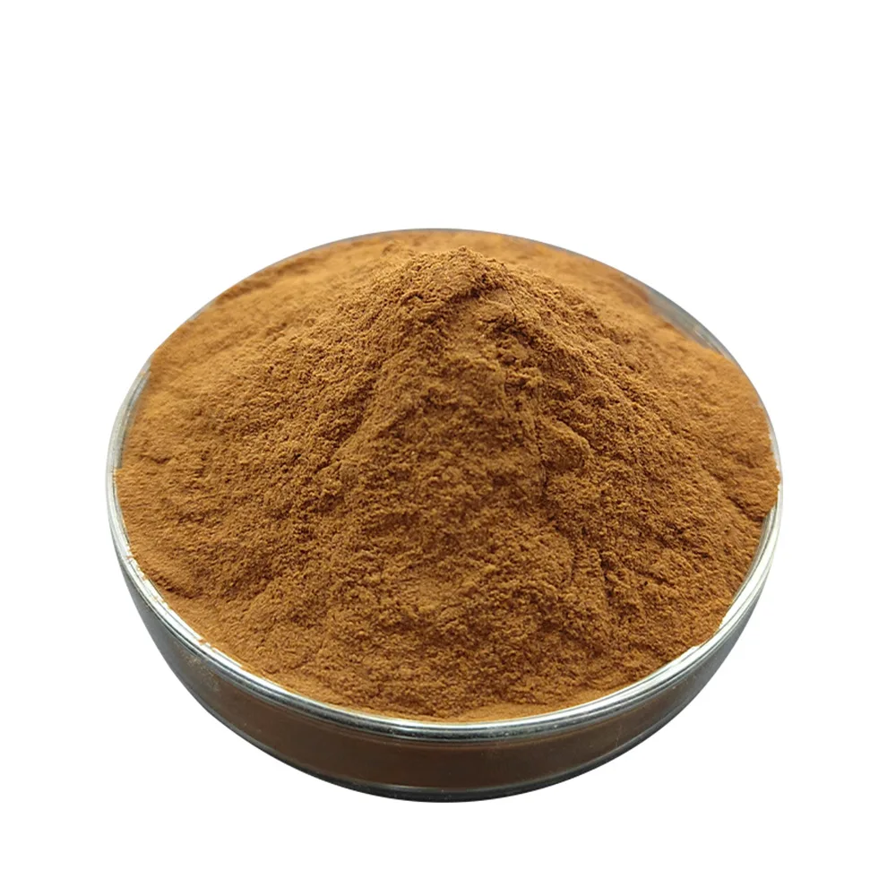 Hot-selling Szechwan Lovage Rhizome Extract/Rhizoma Chuanxiong Extract