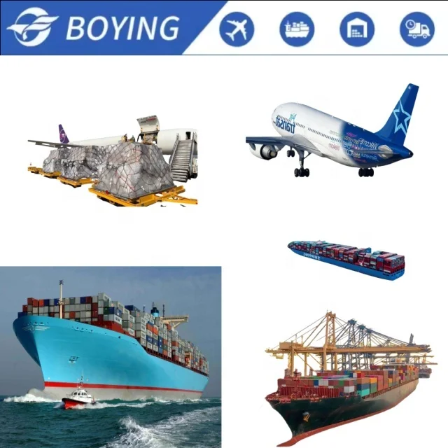 Sea Freight Forwarder Shipping Rates Shipment From China Shenzhen to San Francisco/Miami