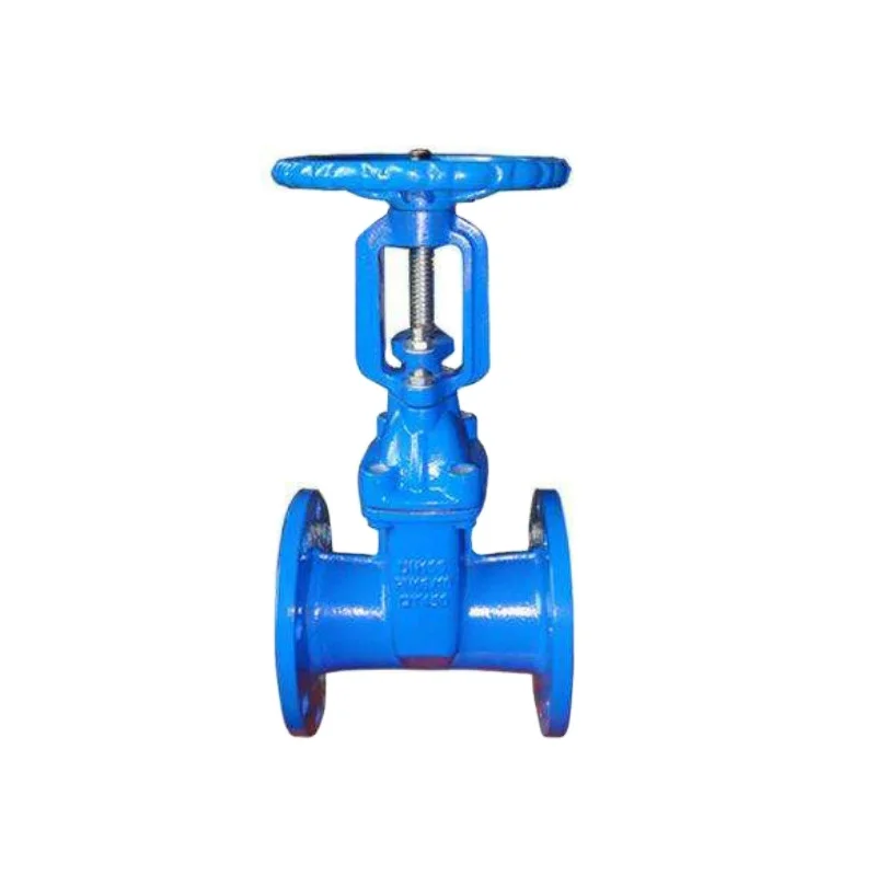 Ductile iron resilient seated rising stem flanged water gate valve manual operated PN16 DN100 (62073187410)