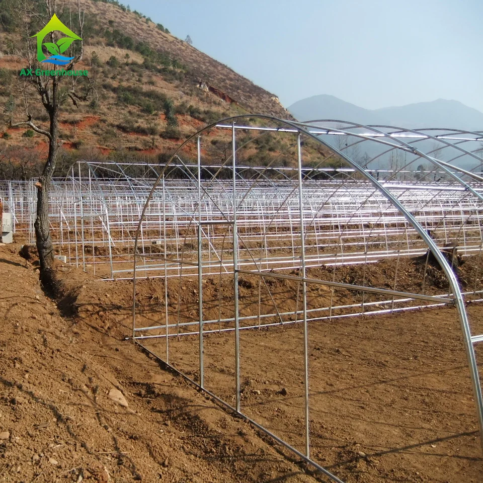 High Wind Resistance with Low Cost for Agricultural Greenhouses Metal Frame