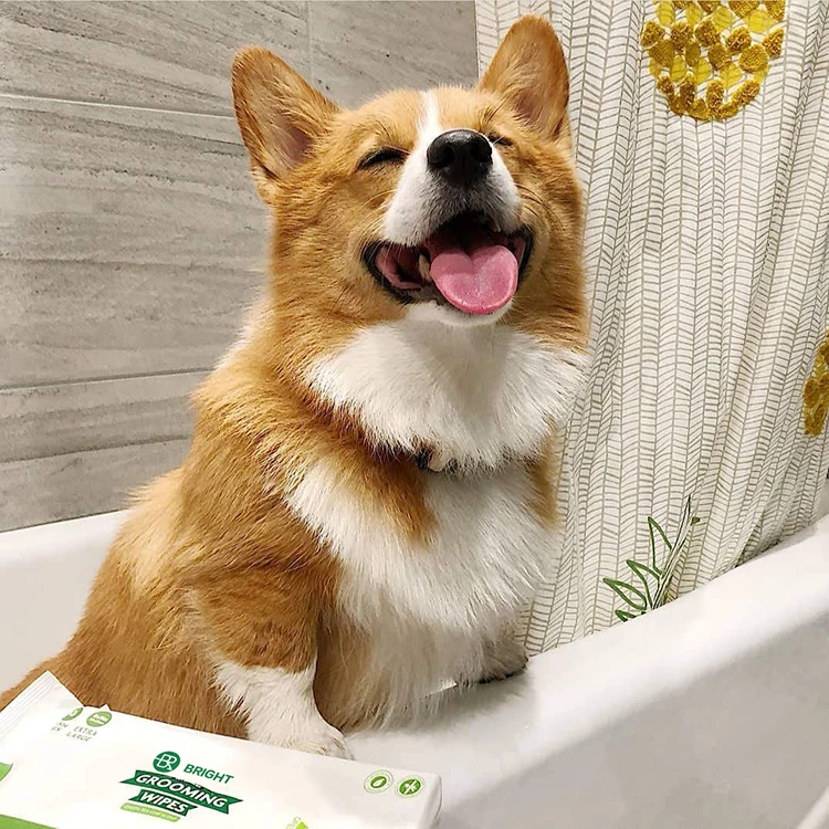 2024 Pet Cleaning Wipes Manufacturers Organic Bamboo Biodegradable Eco Friendly Kraft Paper Package Pet Wet Wipes Private Label