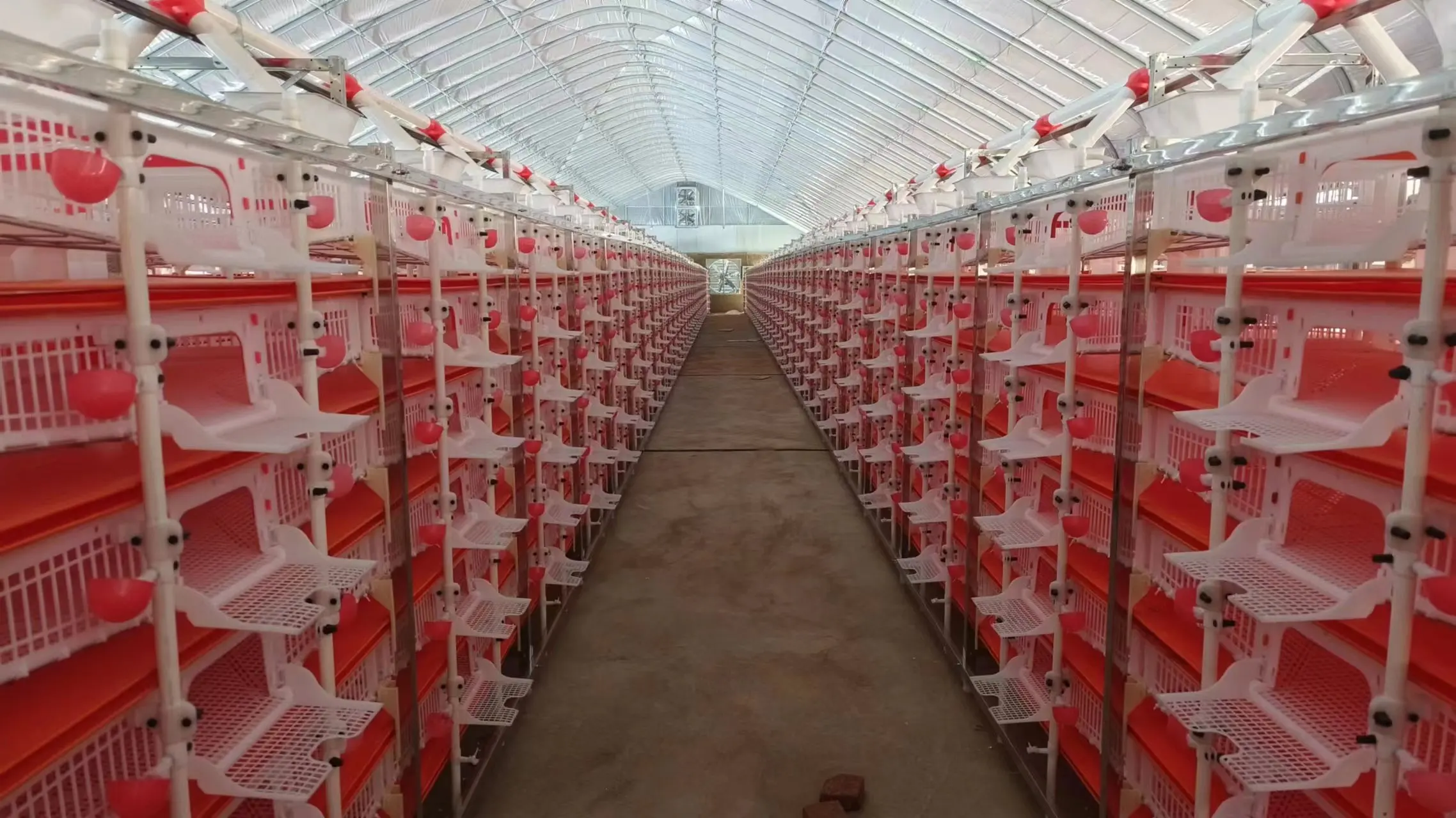 Agricultural equipment 6-layer quail cage animal cage stainless steel frame plus plastic