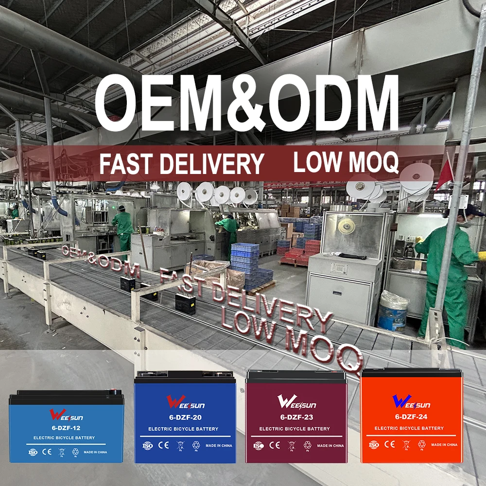 High capacity long life 12v 32v 48v 53v 60v 72v 20ah 23ah 24ah 6-dzm-20 23 24a electric scooter ebike graphene battery