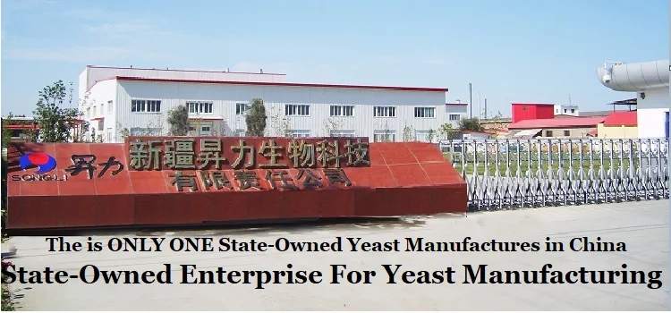 China factory Alcohol Yeast wine yeast for win fruit brewer yeast
