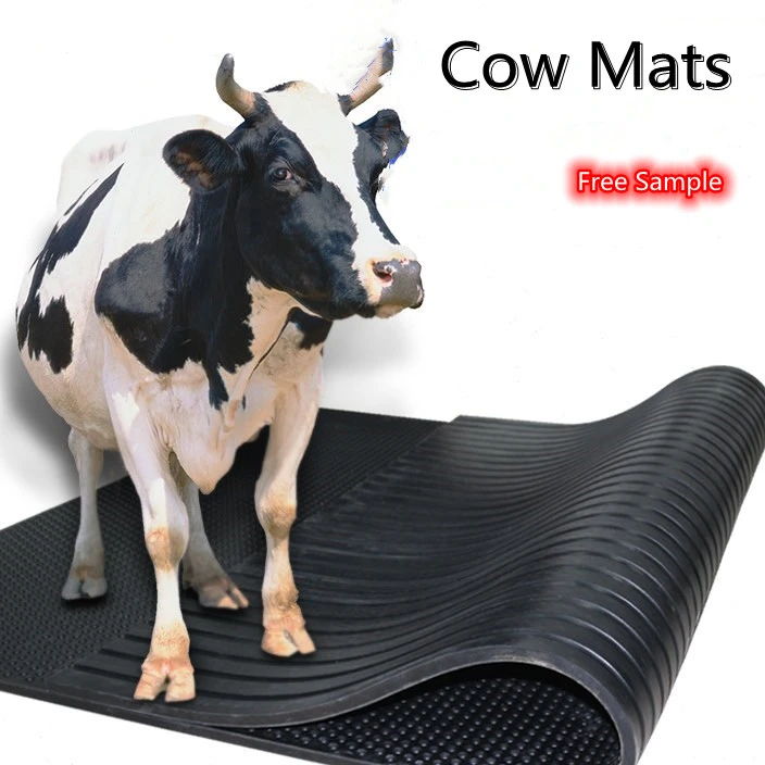 Резиновые маты в боксах для отдыха коров