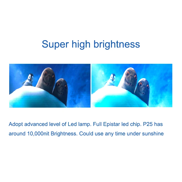  PrivaLED High quality P15.6 front service easy installation advertising outdoor led screens transparent