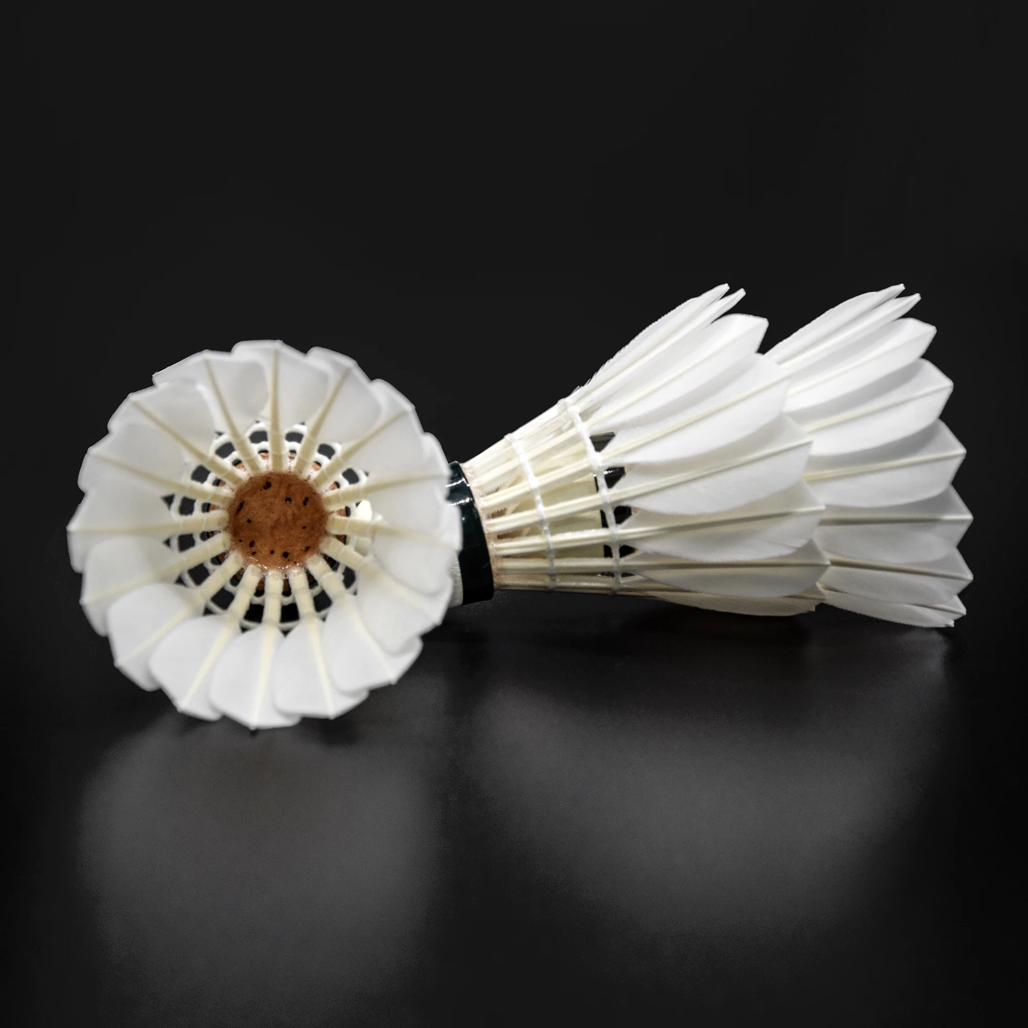 Buy Badminton Online Quality Glow Durable For Training