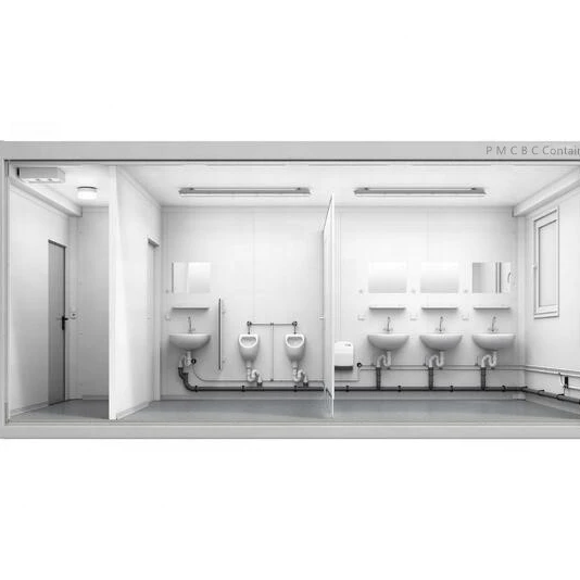 Flat Pack Luxury Living Container House, Homes Container House with Toilet