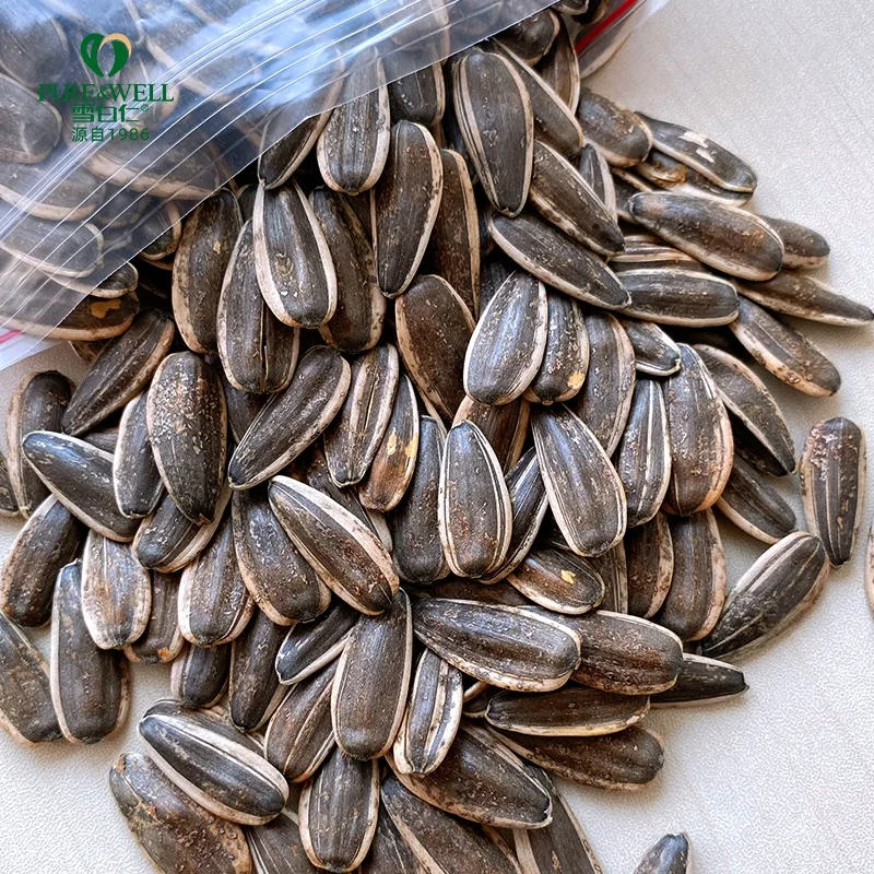 China factory supply  white dried sunflower seeds black