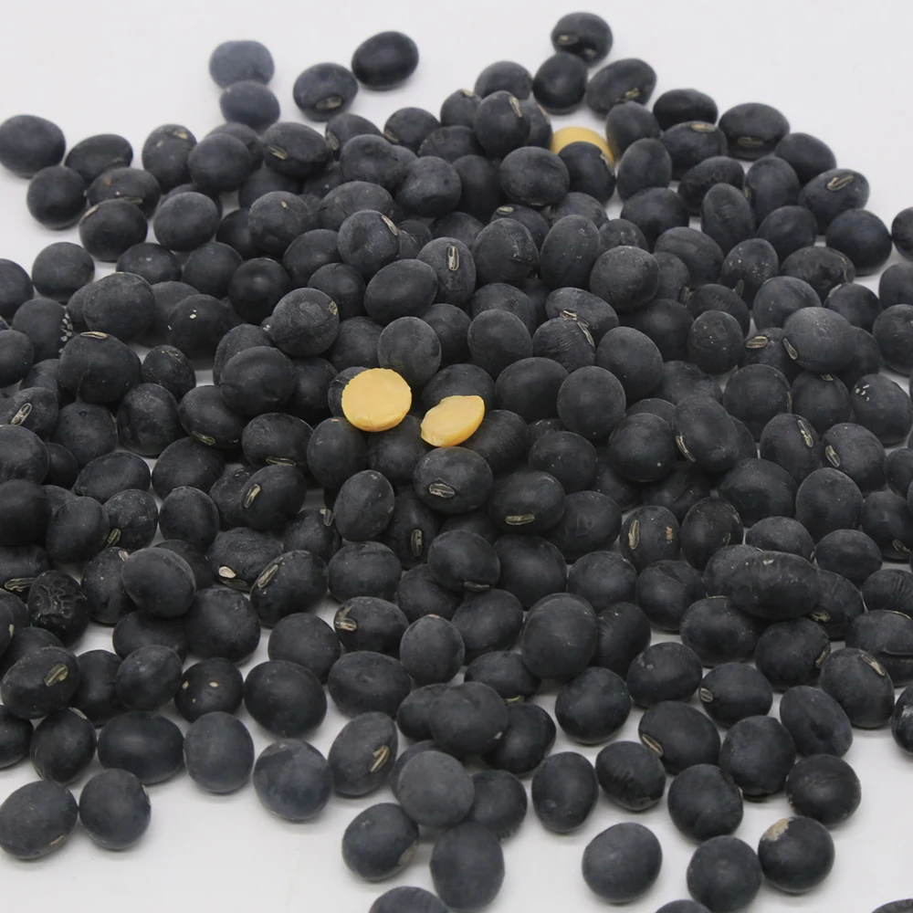 Chinese Black Soy bean Soybean with Yellow Kernel Hot Sale