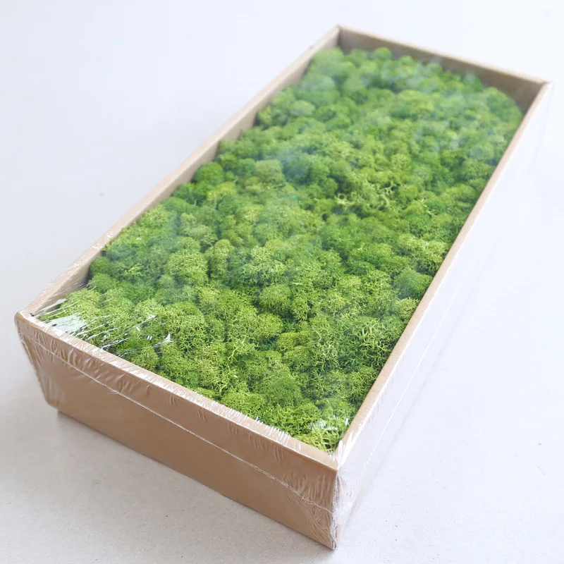 Wholesale Stabilize Reindeer Artificial Moss Wall Preserved Moss for Office decoration vertical garden flower wall