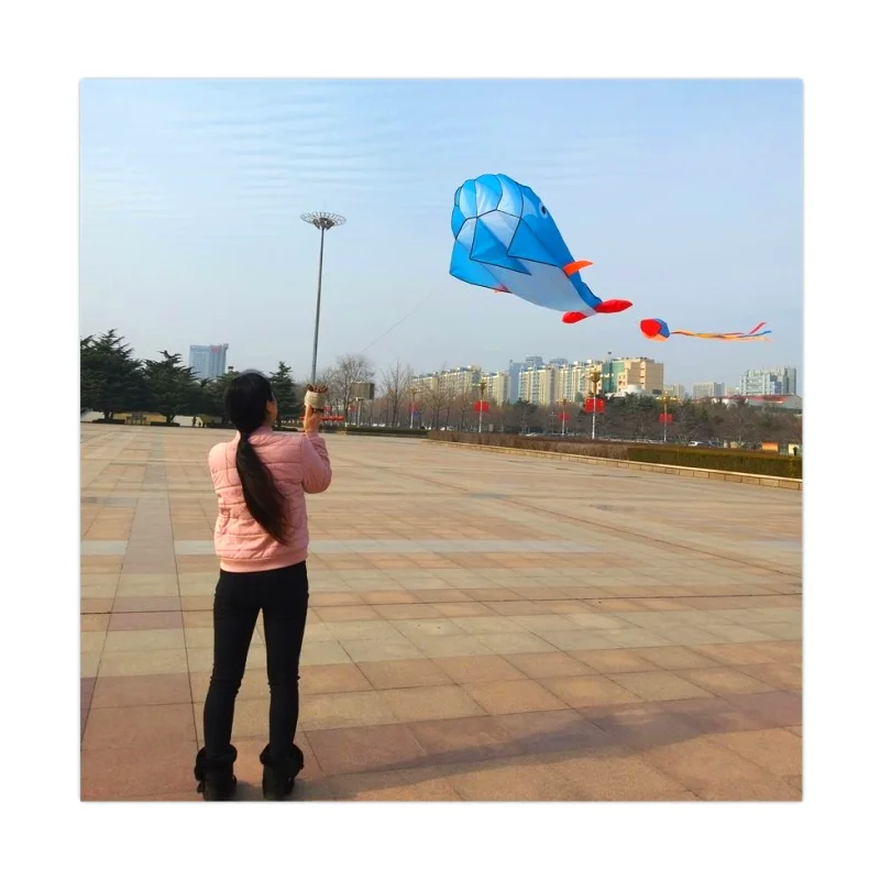 Wholesale cheap Soft Kite outdoor sports children toys small dinosaur pattern kite