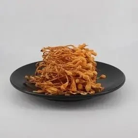 Wholesale Natural Yellow Cordyceps Militaris Fungi Herbal Mycological Food Grade Dried Raw Material Pure Mushroom