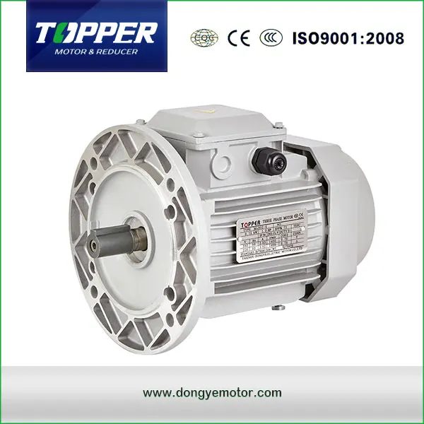 MS SERIES THREE PHASE INDUCTION MOTOR