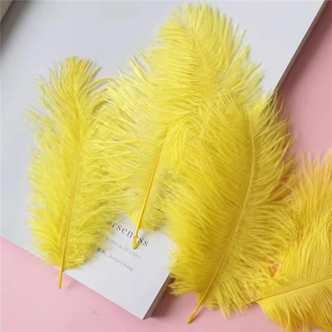 White Large Plume Ostrich Feathers Hair