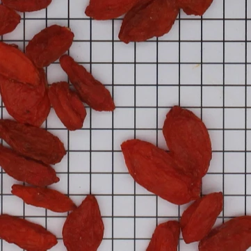 
Fruit of Chinese wolfberry 