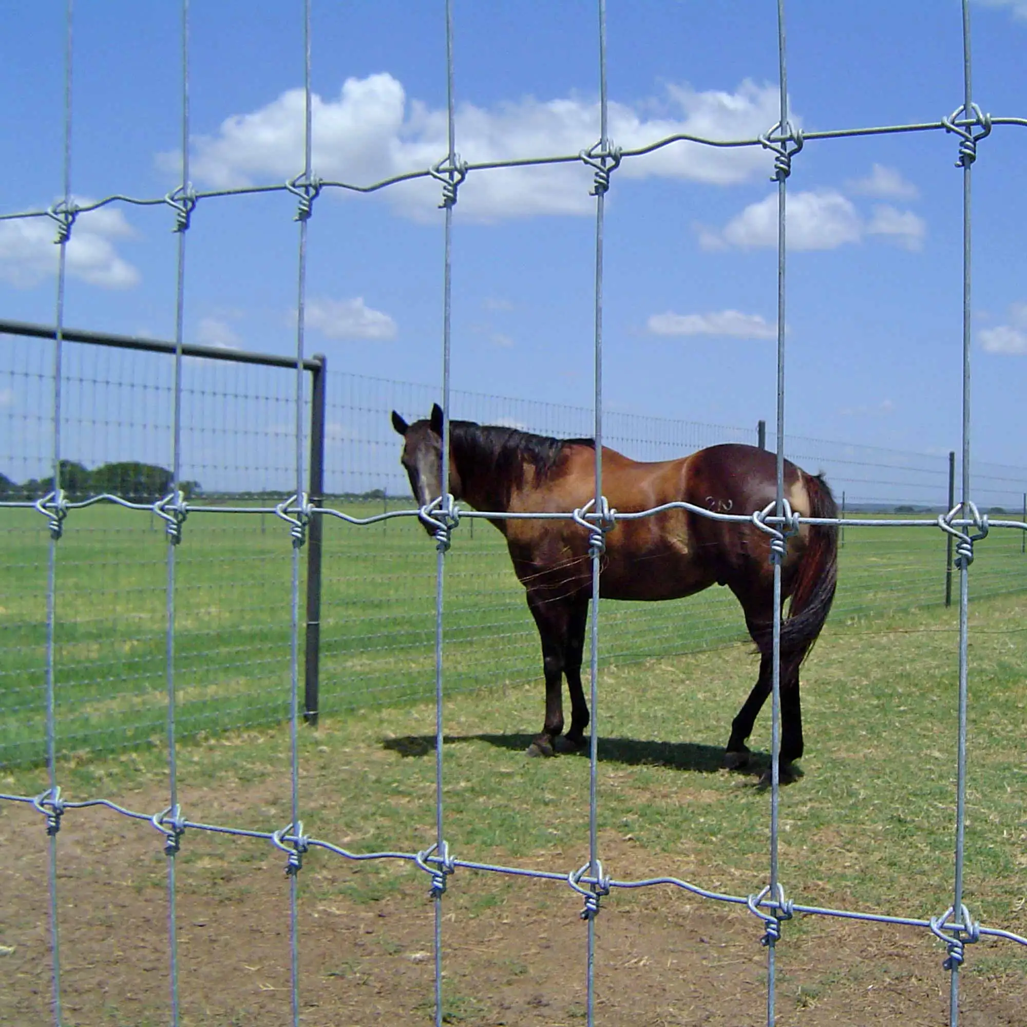 High quality galvanized All sizes  farm field fence  fixed knot woven wire deer fence low price