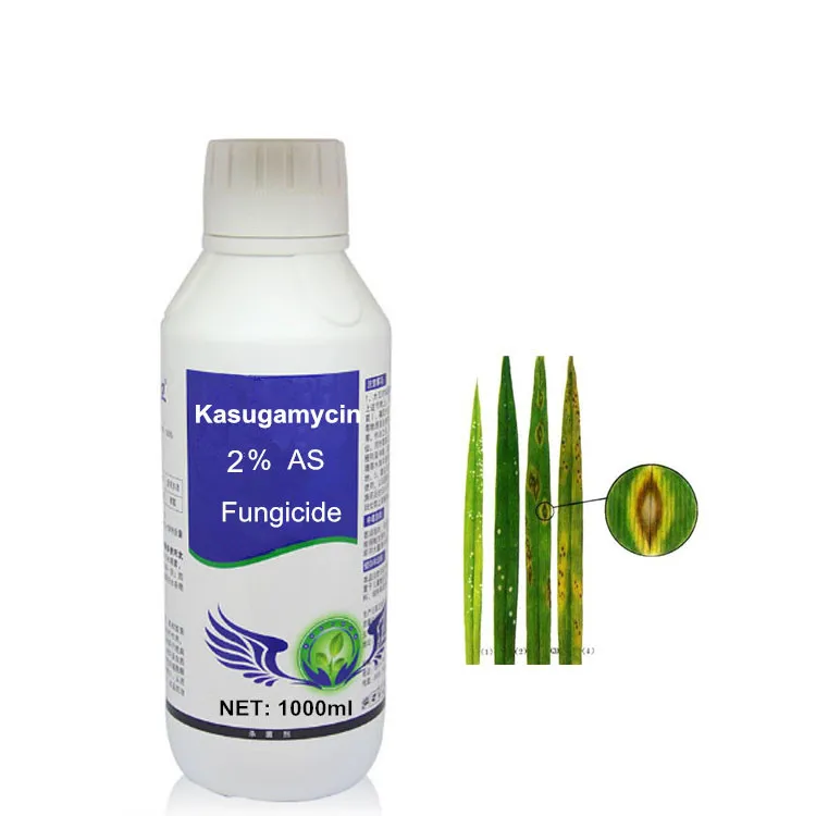 Касугамицин 70% TC/касугамицин 2%