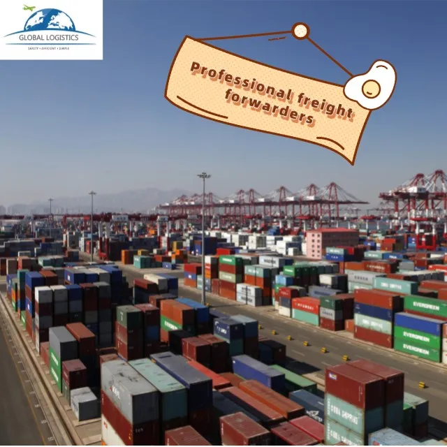Hongkong Dhl Agent Sea Shipping From China To Leeds Miami Japan  sea freight rates canada  china port sea freight poland