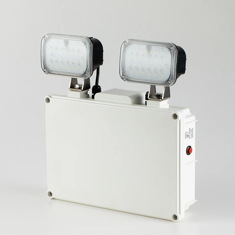 Hot selling 6W Rechargeable LED Emergency Light Exit Light with two round head plastic body