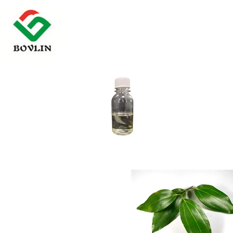 
Good Price camphor essential oil 