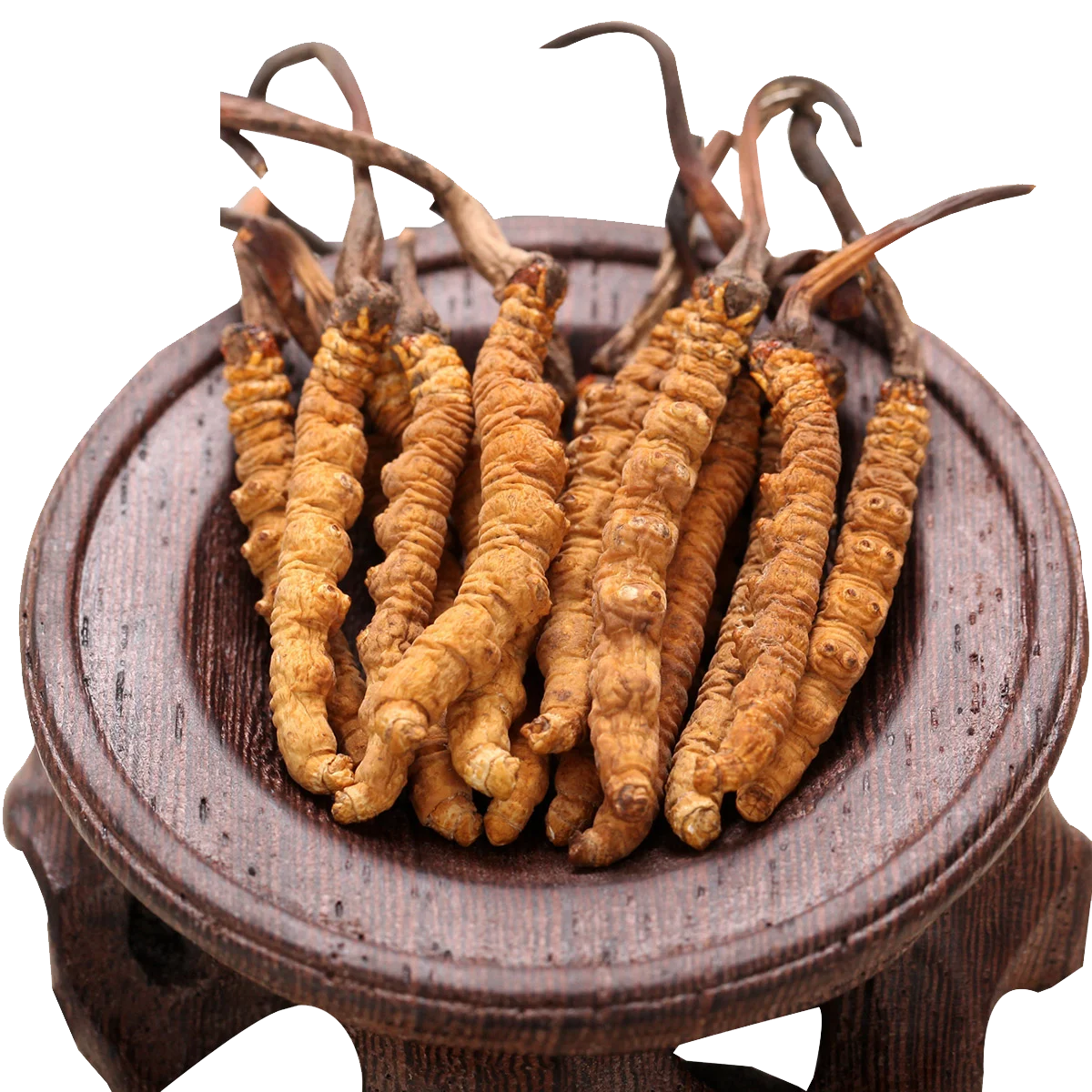 Bulk complex fresh dried cordycepin shitake mycelium whole teins cordyceps sinensis mushroom cordyceps militaris fungus