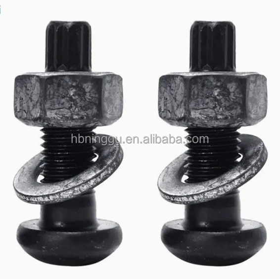 High Strength 10.9S Torsional Shear Bolt TC bolt nuts Torque Shear Bolt steel building
