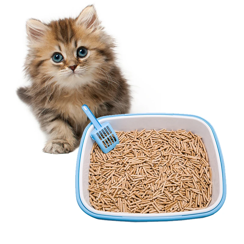 Super Clumping cat litter Bentonite cat sand newly developed pet products for cat