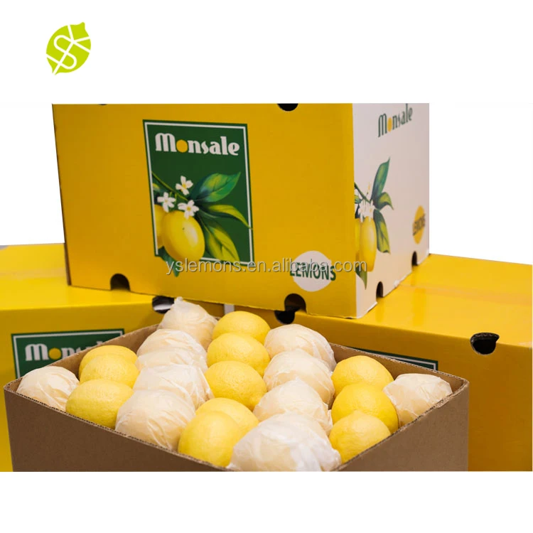 MonSale Китай оптовая лимон фрукты Эврика лимоны