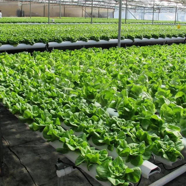 Greenhouse Indoor tower aeroponics for Planting vegetable