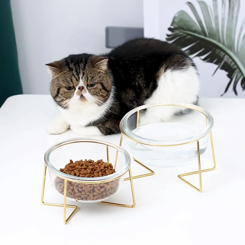 Hot Selling Customized Pet Food Feeder Glass Bowl Pet Cat Dog Bowl With Stainless Steel Stand