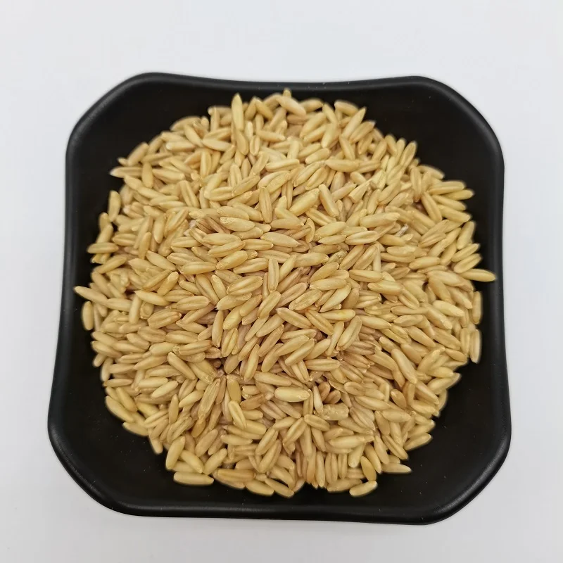 China Top Quality Wholesale Oat Groats/Oats Grain/Oat Without Shell for Sale at Cheapest