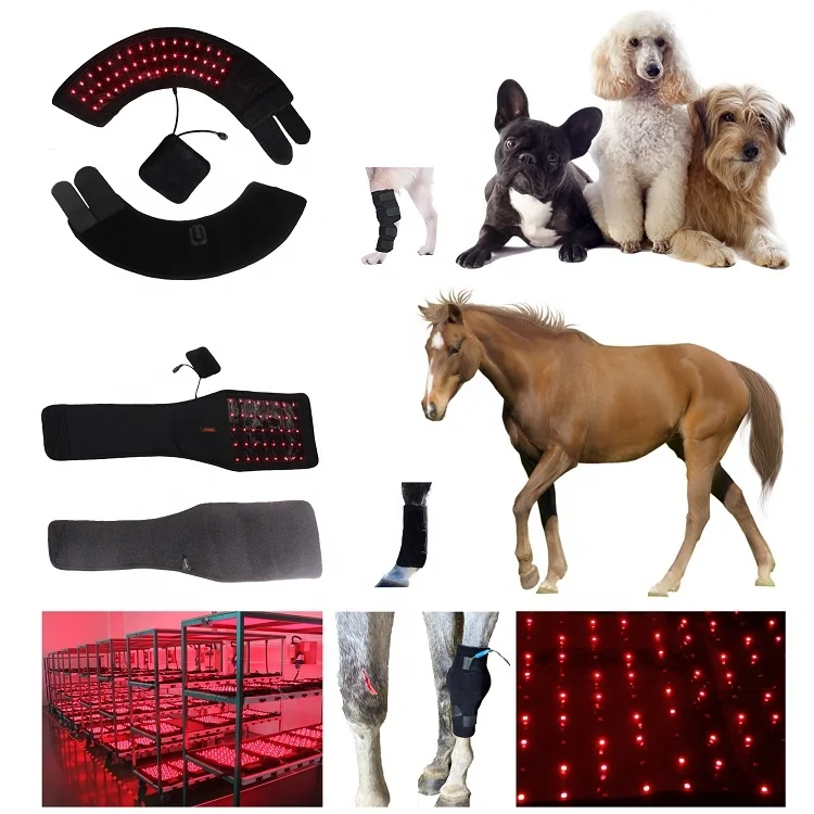 660nm 850nm Equine Care Near Infrared Light Device Horse Care Equine Products Red Light Therapy