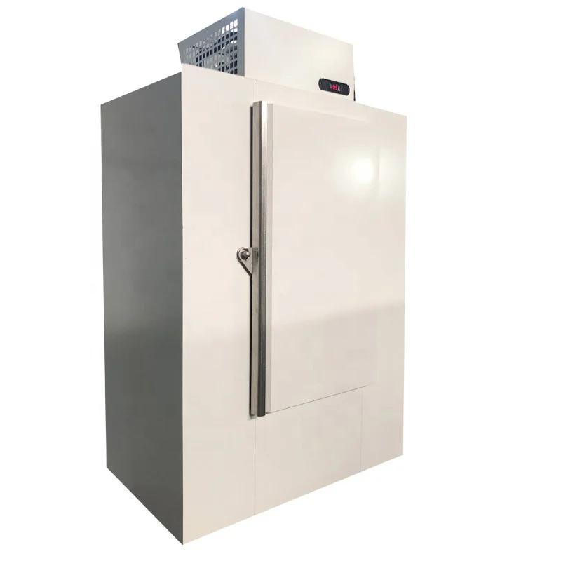 Commercial Gas Station Single Solid Door Outdoor Packaged Ice Freezer