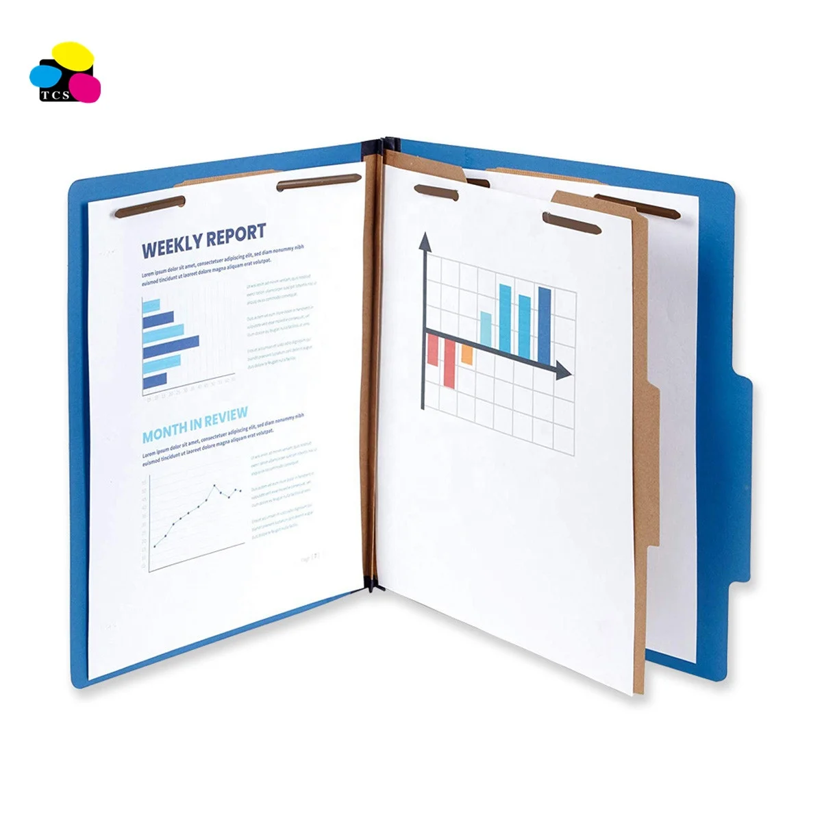 Top Quality Fashion Customized one Divider Dark Blue Letter Medical Classification File Folder With