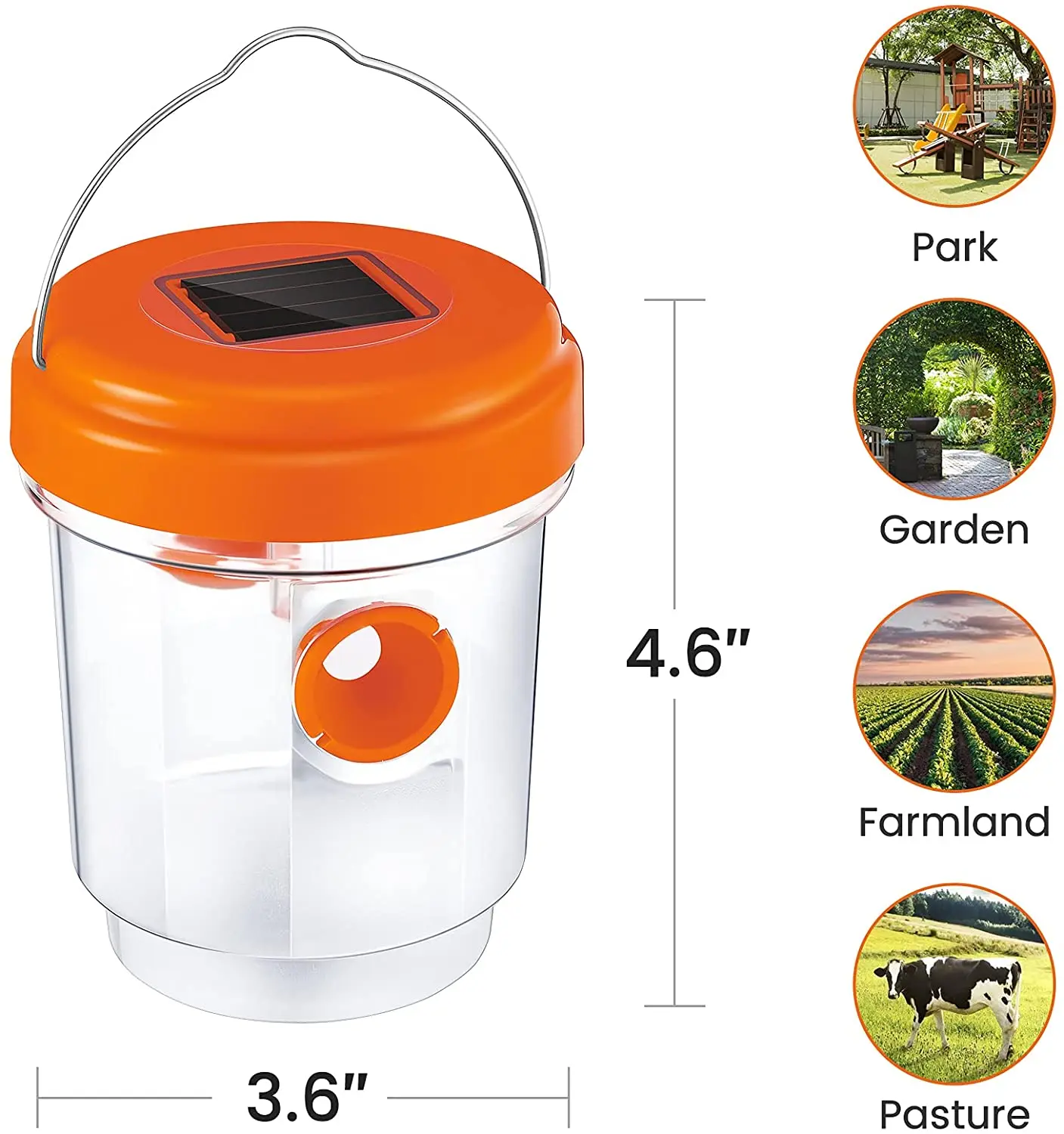 Chemical free plastic hornet bee catcher and wasp trap catcher bee wast traps for Orchard