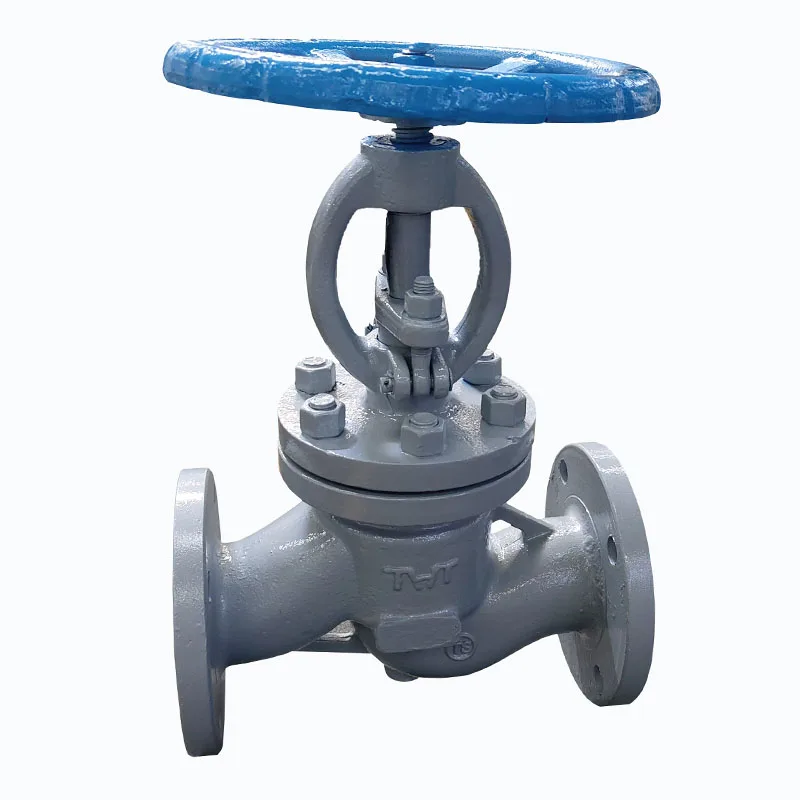 DN65 WCB Through way flange connection GB Globe valve