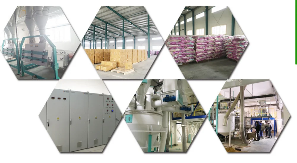 natural OEM organic bulk wholesale dry dog food_9