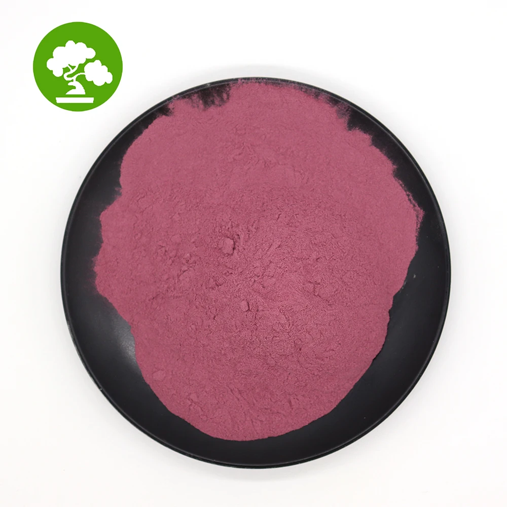 Food Grade Dragon fruit freeze-dried powder Natural Dragon fruit