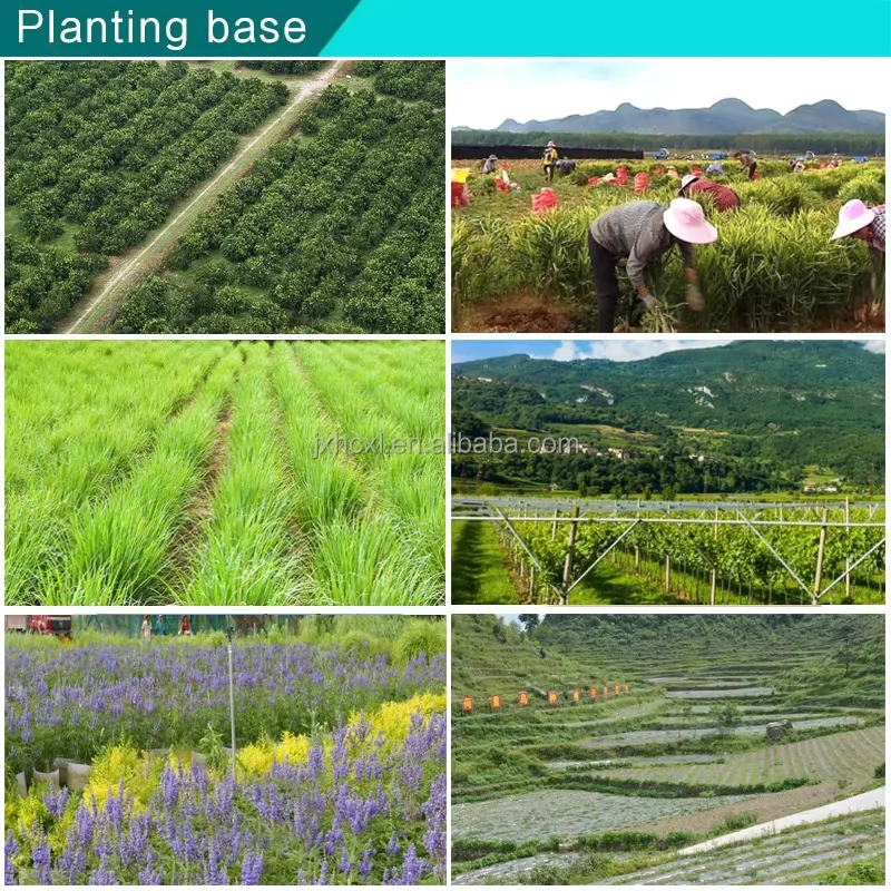 Free Sample High Quality Menthol Crystal Best Price Synthetic Material 89-78-1 Herbal Menthol Crystal Ice Food Additive