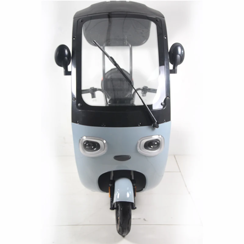 New design E Trike Three Wheel Mini Scooter Manned electric tricycle for mobility-impaired people with roof