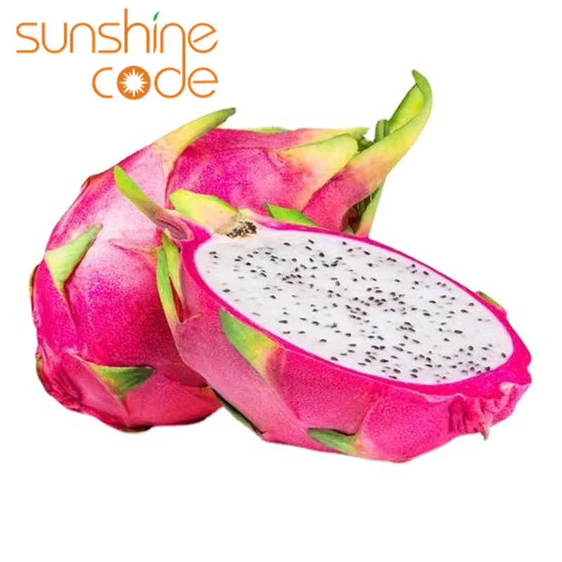 Sunshine Code dragon fruit organic sweet dragon fruit germany dragon fruit for export