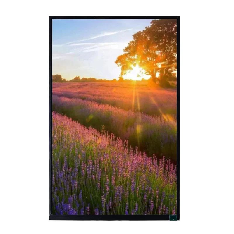 10.1 inch original factory supplying IPS DSI MIPI 4L interface JD9365DA tft lcd display