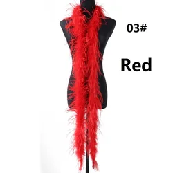 Real Ostrich Feather