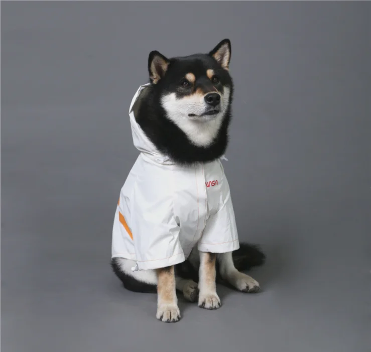 QQ20210804151711.png
